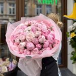 Piwonie – królowe lata: dlaczego wszyscy je kochają?